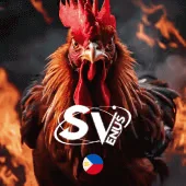 q8bet Casino Trực Tiếp