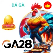 q8bet Game 12